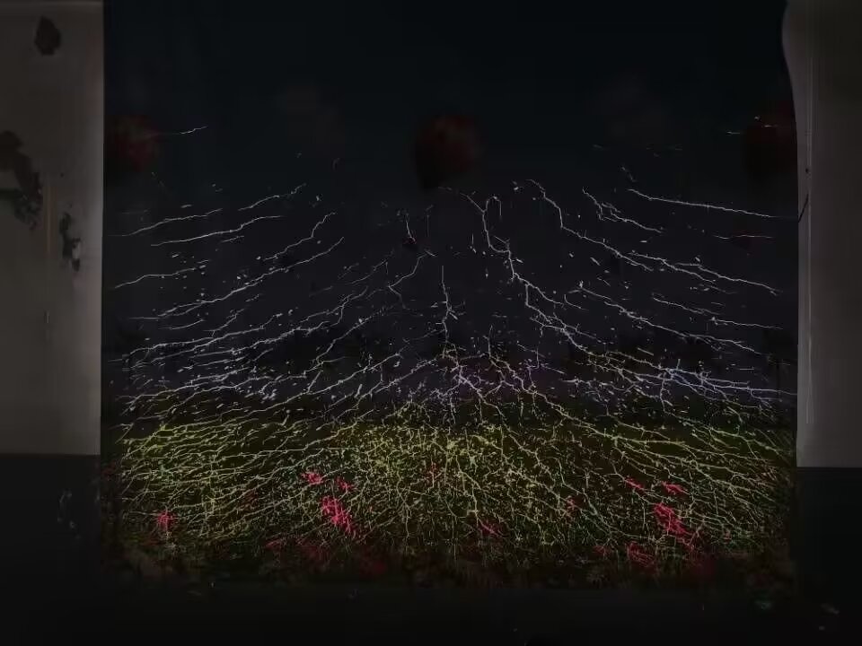 9910b97b032dbf087741e00be184b1c0