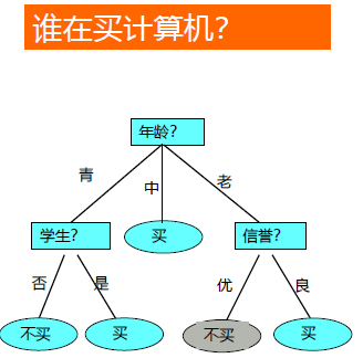 image-20250113170622482
