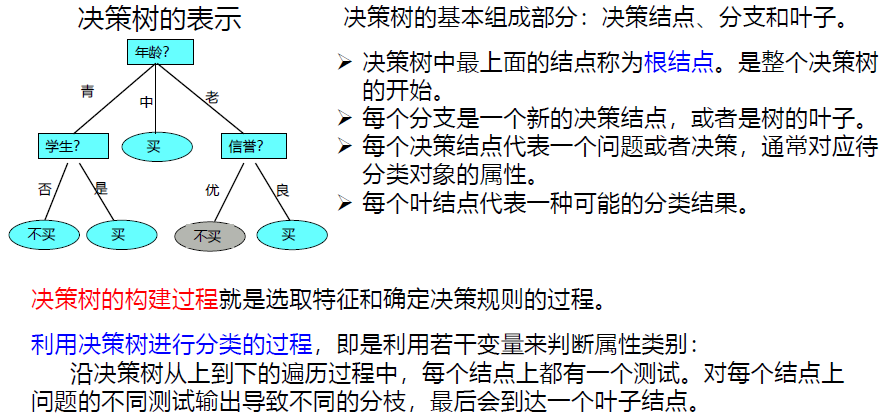 image-20250113170630358