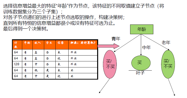 image-20250113171305750