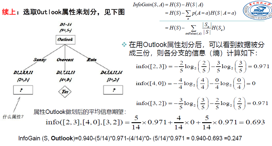 image-20250113172053934